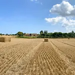 营地 The Hygge Out - Glamping Site In North Yorkshire *